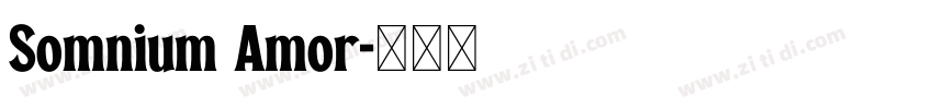 Somnium Amor字体转换